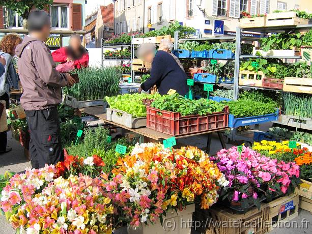 2007-05-12_08-40-44_Mai_37,6mm_1_400_eme_Canon PowerShot A95-B 